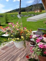 Vue de la terrasse