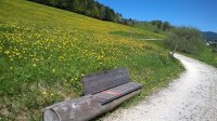 Via vercors 