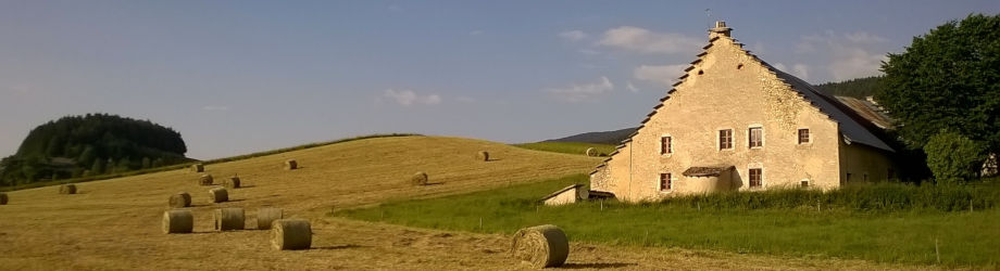 Une Ferme en Eté