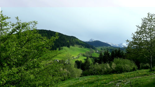 Paysage du Vercors