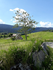 La Via Vercors à Méaudre La Via Vercors à Méaudre
